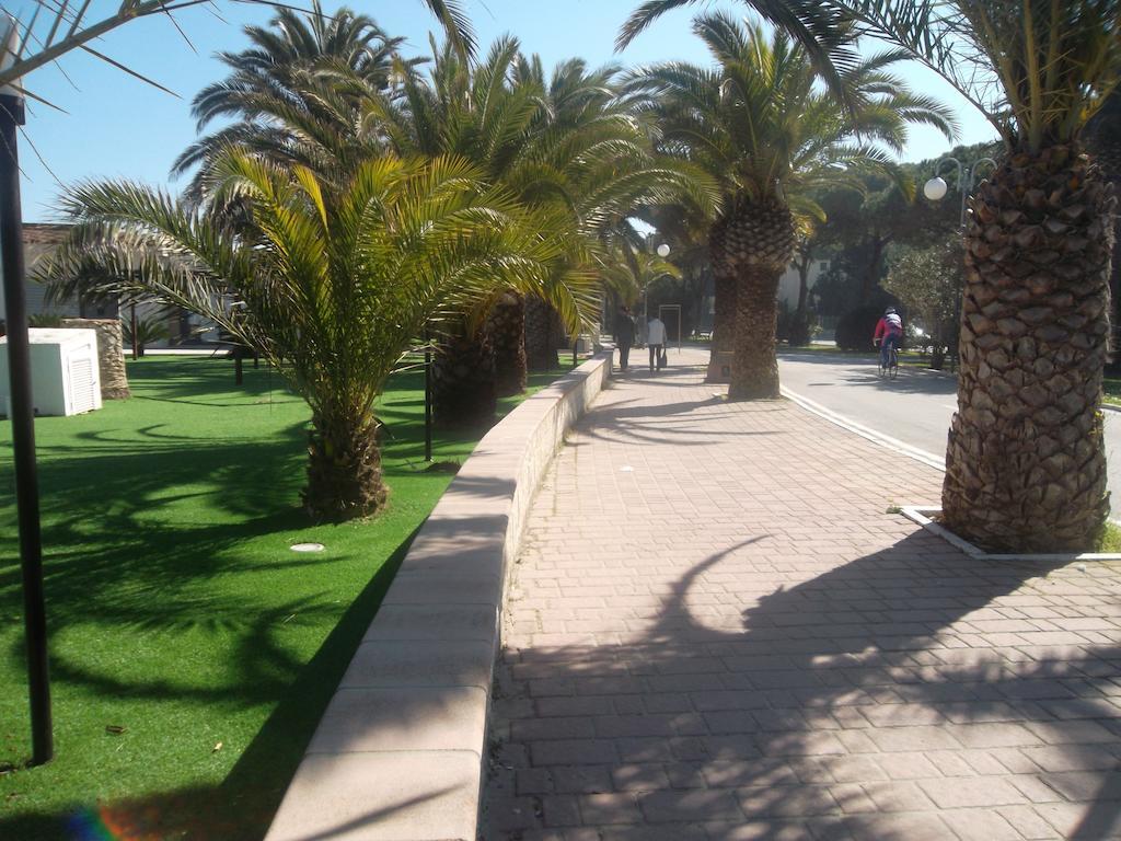 Hotel Quattropalme Tortoreto Εξωτερικό φωτογραφία